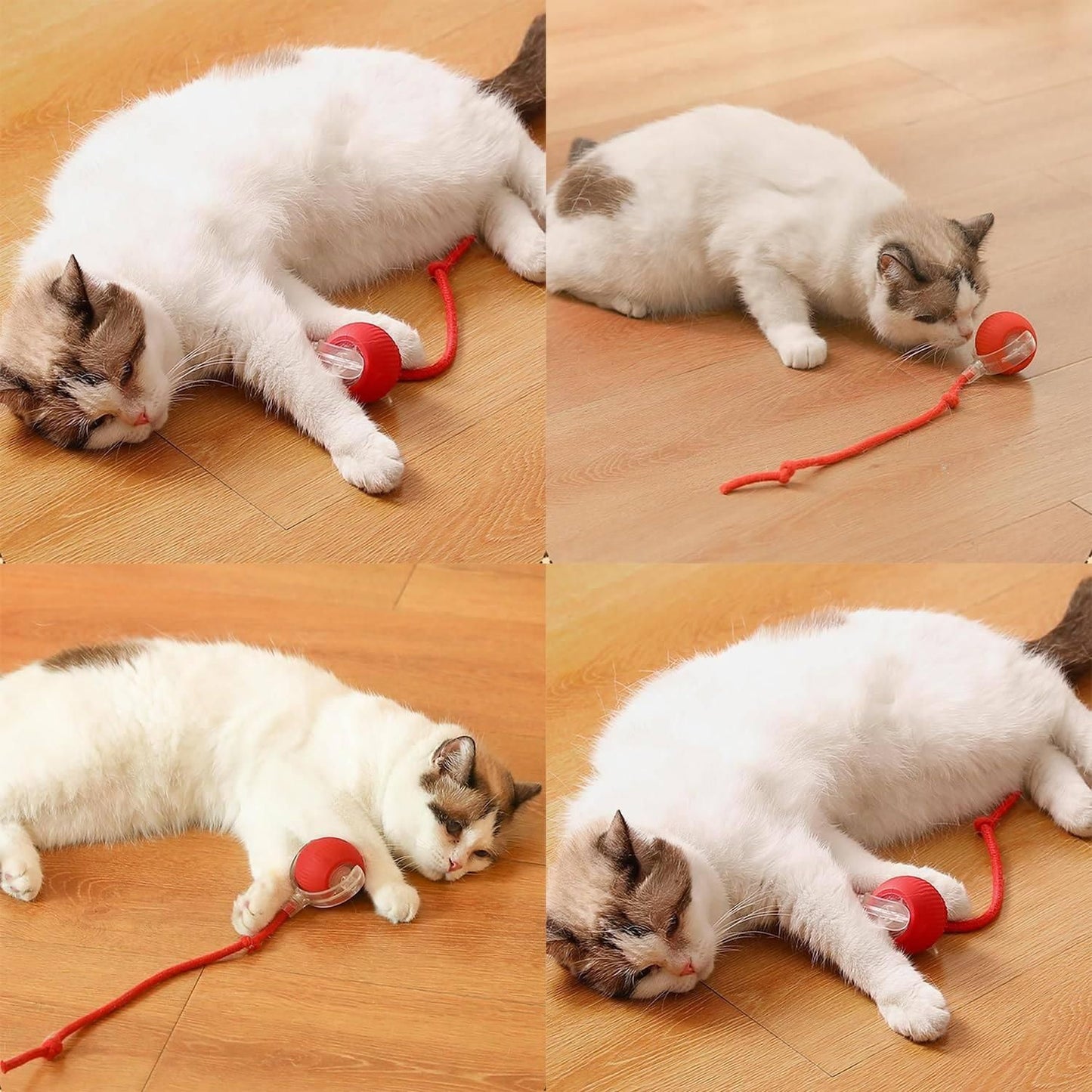 Viral Rolling Ball Interactive Cat/Dog Toy