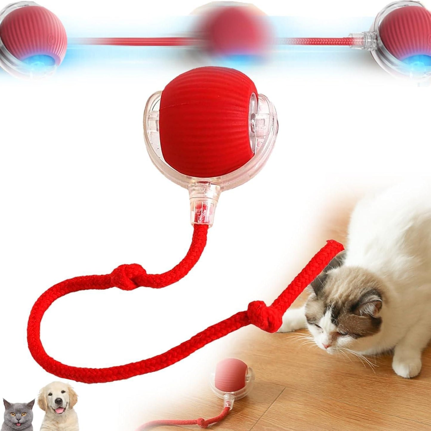 Viral Rolling Ball Interactive Cat/Dog Toy