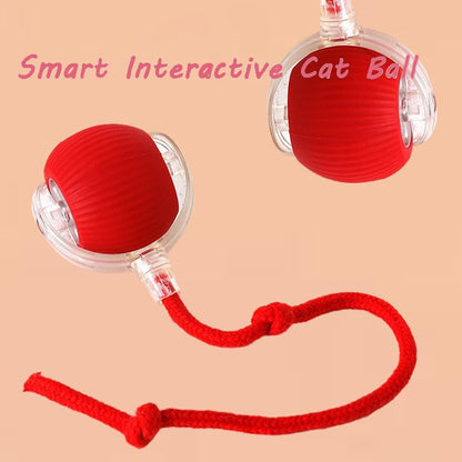Viral Rolling Ball Interactive Cat/Dog Toy